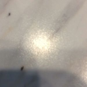 Meet your Posher, Adrienne